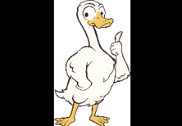 食品原料小百科：PQQ在動(dòng)物領(lǐng)域的應(yīng)用？