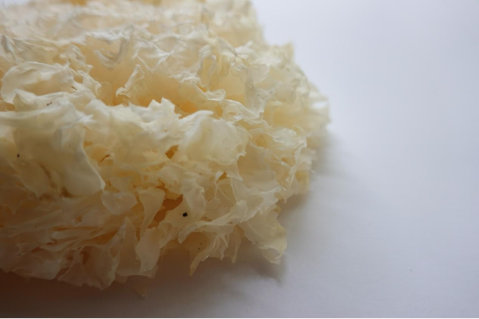 銀耳多糖的含量檢測中：葡萄糖醛酸和總糖分別指的是什么？（上）