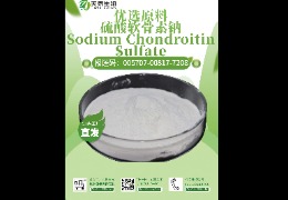 軟骨救星，硫酸軟骨素鈉讓你告別關(guān)節(jié)疼痛！