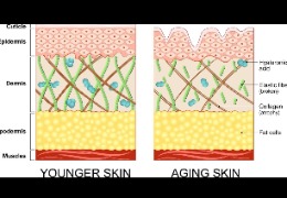 正確選擇精華素，讓你的肌膚更緊致、更年輕