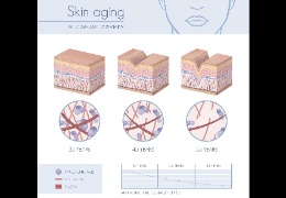 護(hù)膚品保濕成分的黃金標(biāo)準(zhǔn)——透明質(zhì)酸鈉