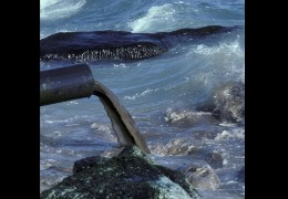 核輻射風波，日妝還能用嗎？